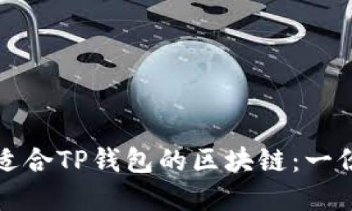 如何选择适合TP钱包的区块链：一份全面指南