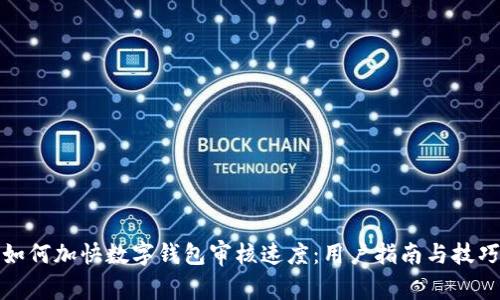 如何加快数字钱包审核速度：用户指南与技巧