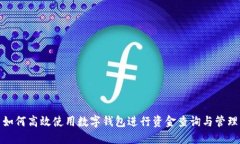 如何高效使用数字钱包进行资金查询与